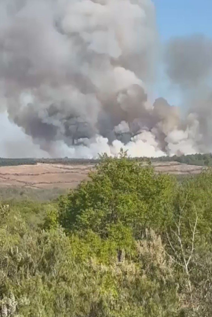 Beykoz Kılıçlı Mahallesi'nde bulunan ormanlık alanda yangın çıktı. Üç söndürme