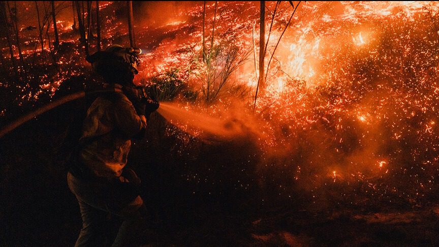 Japonya’daki orman yangınlarında 700 hektarlık alan kül olurken, 3 binden