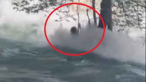 Mersin'in Tarsus ilçesinde Berdan Çayı'na atlayan Batu Yetiş Kerem Kaplan