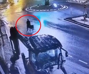 Kayseri'de çalıntı forkliftle kepenklerini kırarak girdiği kuyumcu dükkanından ziynet eşyası