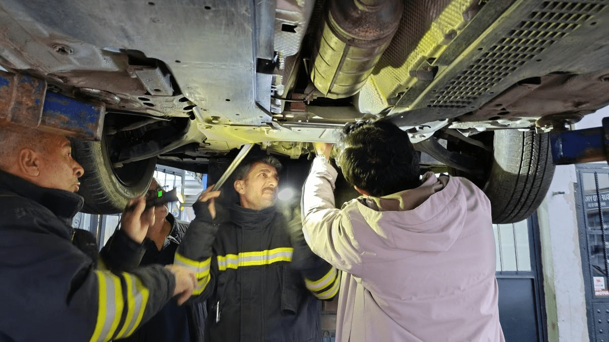 Erzincan'da otomobilin motor bölümüne giren yavru kedi, sanayide çıkarıldı.