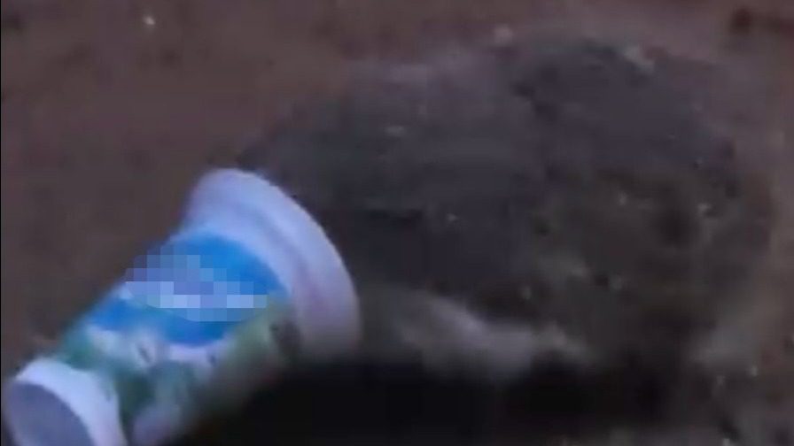 Eskişehir'de kafası plastik ayran kutusuna sıkışan ve kurtulmak için çaresizce