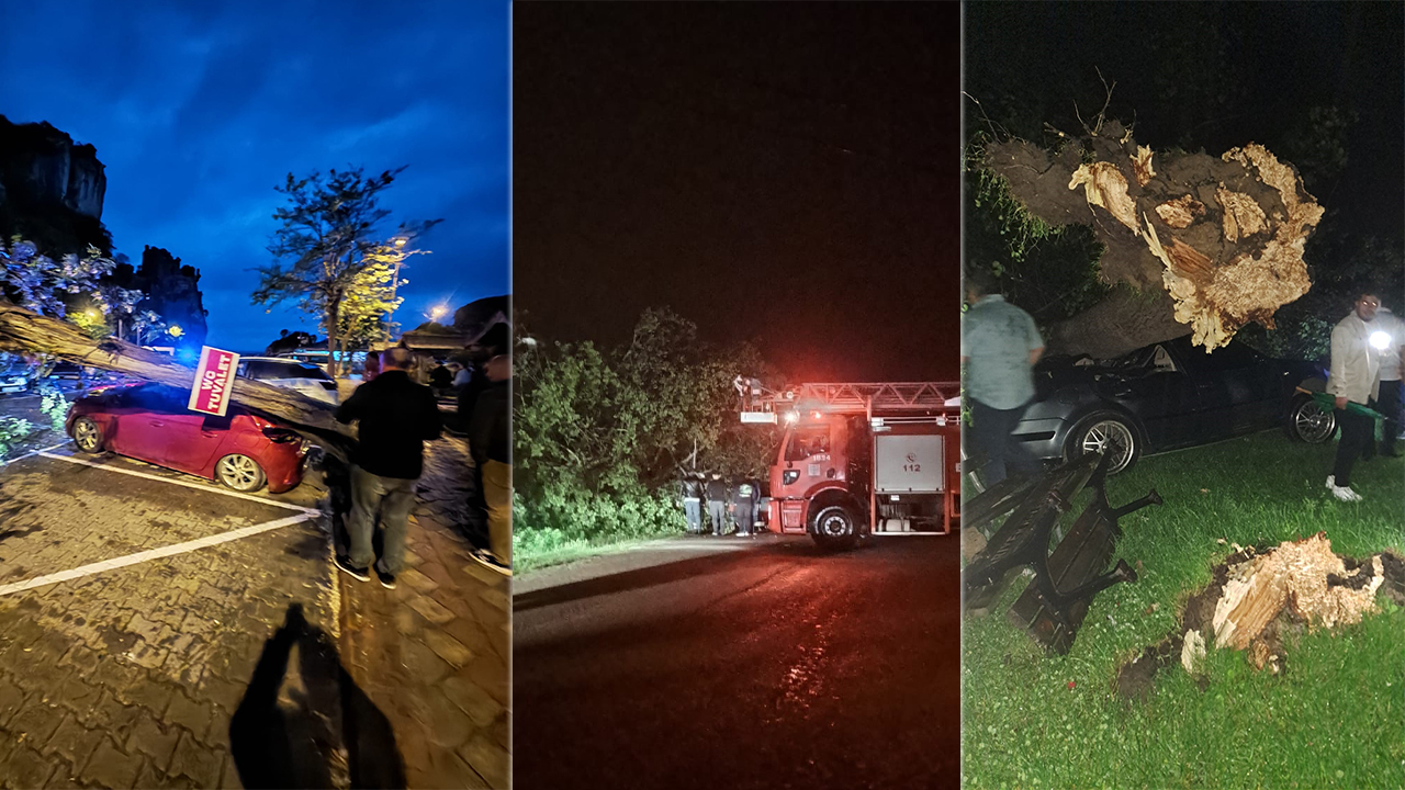 Bartın'da akşam saatlerinden itibaren etkisini artıran fırtına ağaçları devirdi, reklam