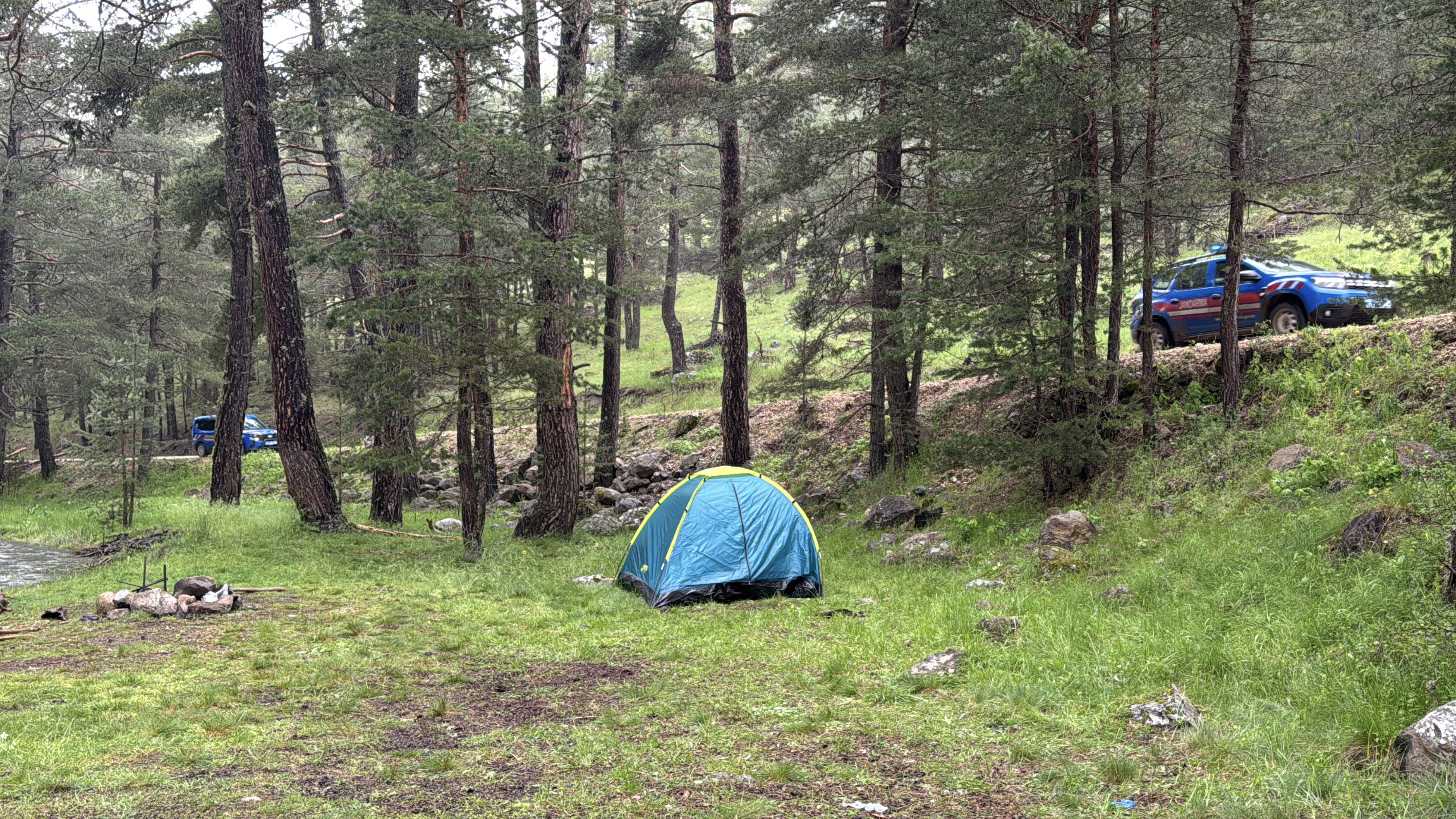 Bolu'da ormanlık alanda bir ağaca yıldırım düştü. Bölgede kamp yapan