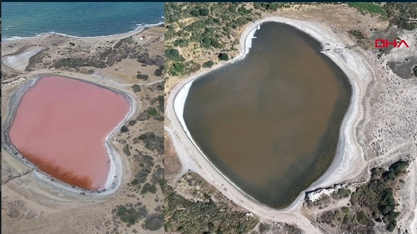 Çanakkale'nin Ezine ilçesinde bulunan, yılın belli dönemlerinde pembeye bürünen ve