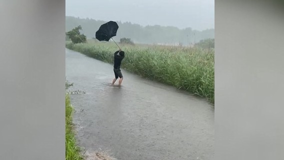 Japonya'nın başkenti Tokyo'da Jangmi Tayfunu sonucu şiddetli yağış ve toprak