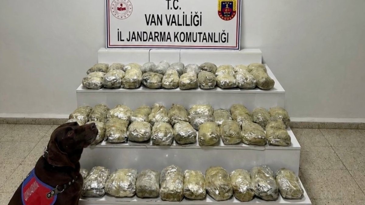 Uyuşturucuyla mücadele kapsamında 24 ilde daha operasyon düzenlendi. Operasyonlar sonucu,