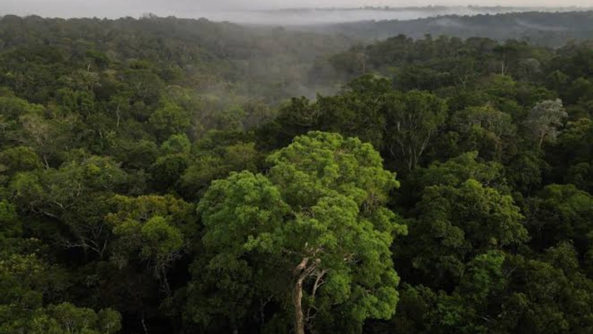 Amazon yağmur ormanlarının altında yürütülen yeni bir LIDAR araştırması, antik