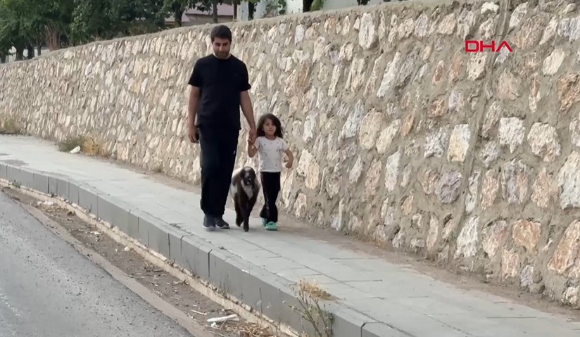 Hakkari'nin Şemdinli ilçesinde, İsa Camiye, 2 günlükken annesi ölen kuzuyu