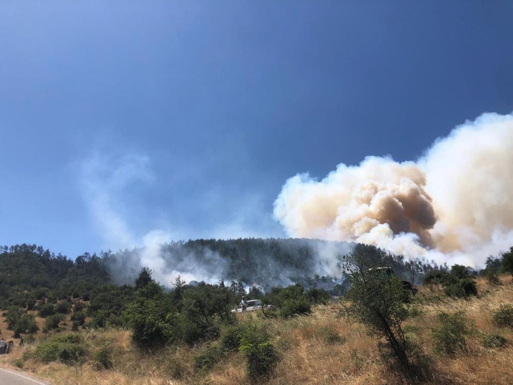Balıkesir'in Kepsut ilçesinde orman yangını çıktı.