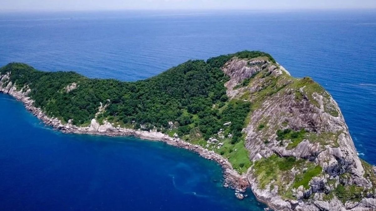 Brezilya açıklarındaki Ilha da Queimada Grande, dışarıdan bakıldığında yeşilin ve