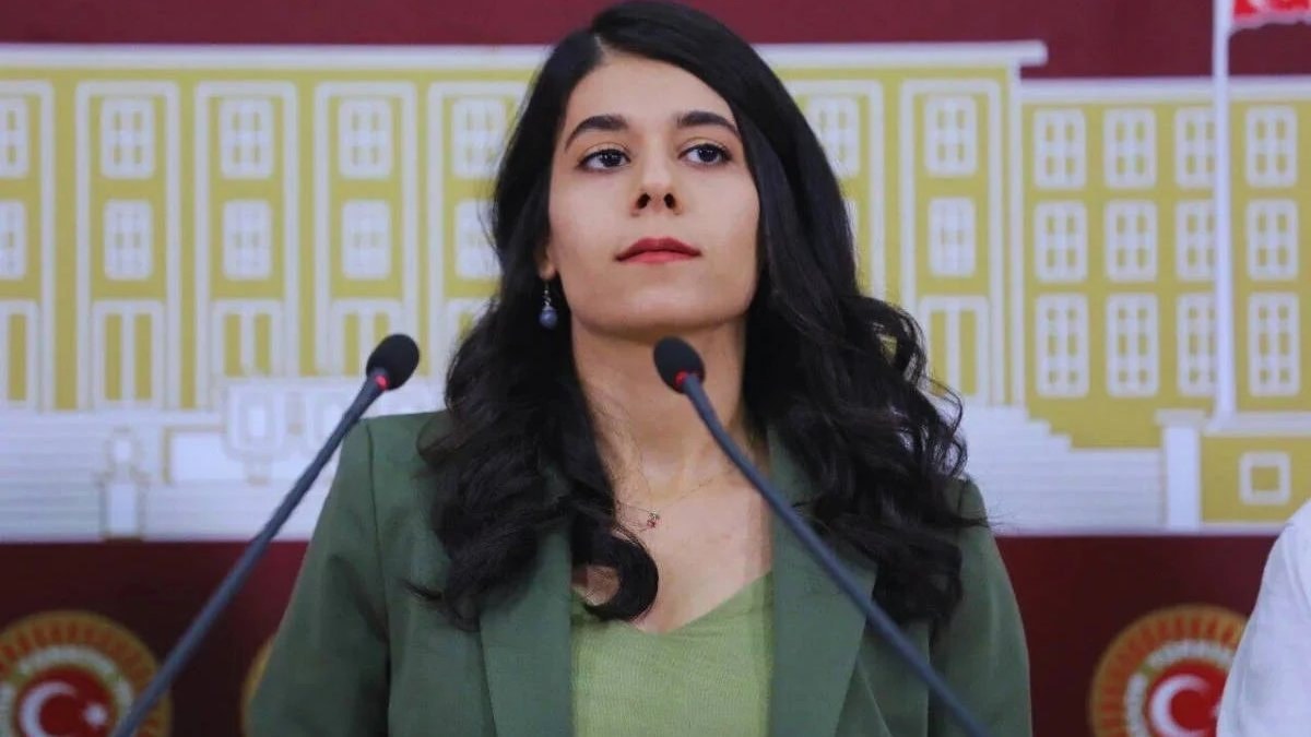 Suça sürüklenen çocuklara yönelik düzenleme hakkında konuşan Beritan Güneş, 15-18