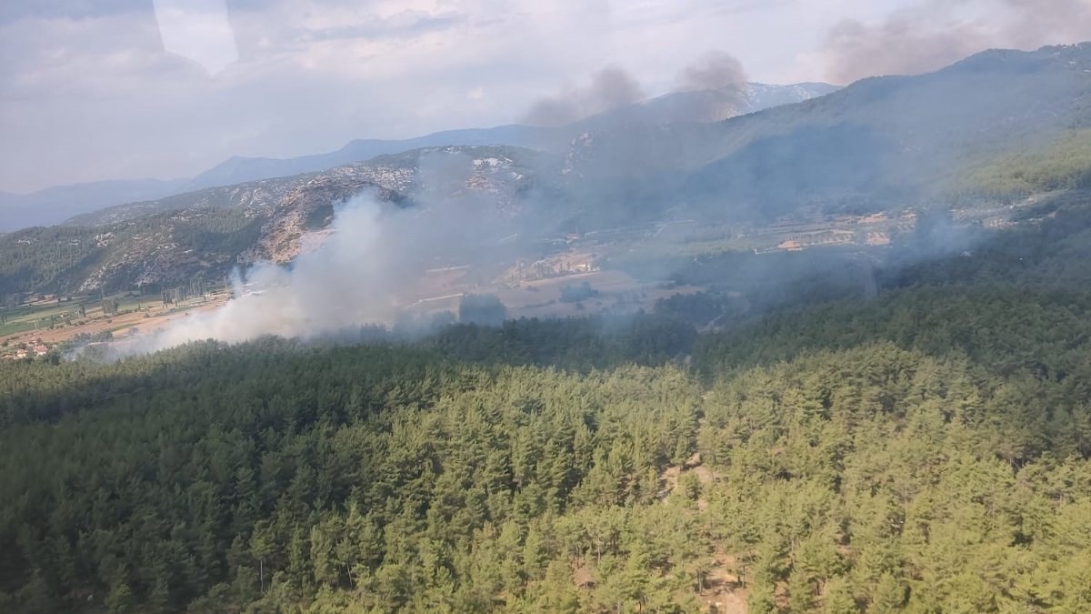 Menteşe ilçesine bağlı Yenice Mahallesi sınırları içerisinde orman yangını çıktı.
