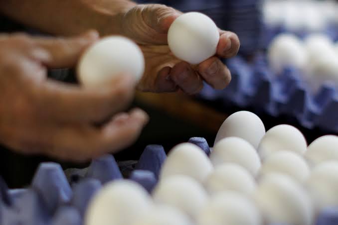 ABD Gıda ve İlaç Dairesi (FDA) salmonella krizinin ardından milyonlarca