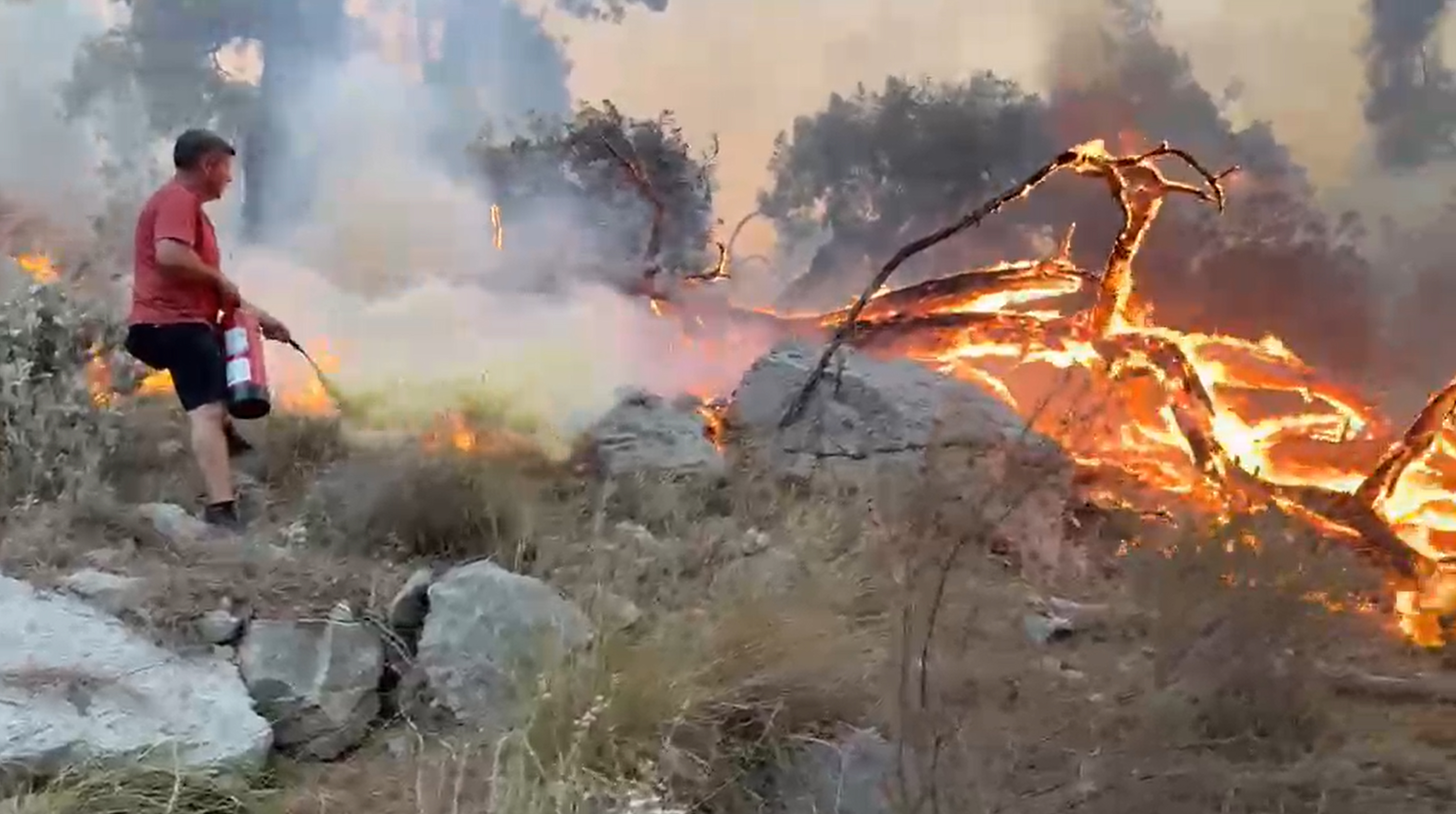 Antalya'nın Kemer ilçesine bağlı Ulupınar Mahallesi'nde çıkan orman yangınına müdahale