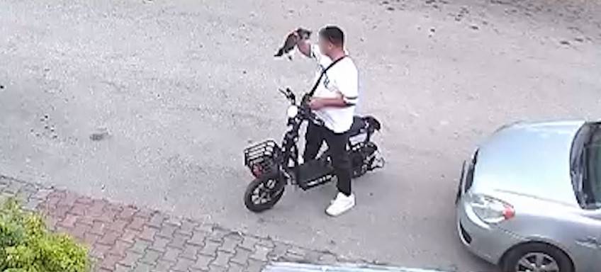 Bolu’da elektrikli bisikletli bir şahıs, elinde taşıdığı yavru kediyi önce