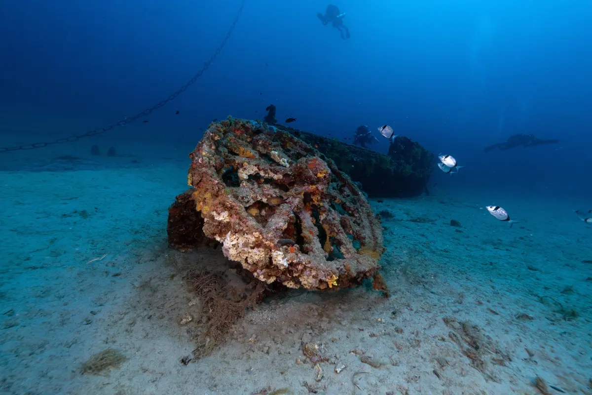 Çanakkale Savaşları'na tanıklık eden batıklar Büyük Zafer'in 104. yıl dönümünde