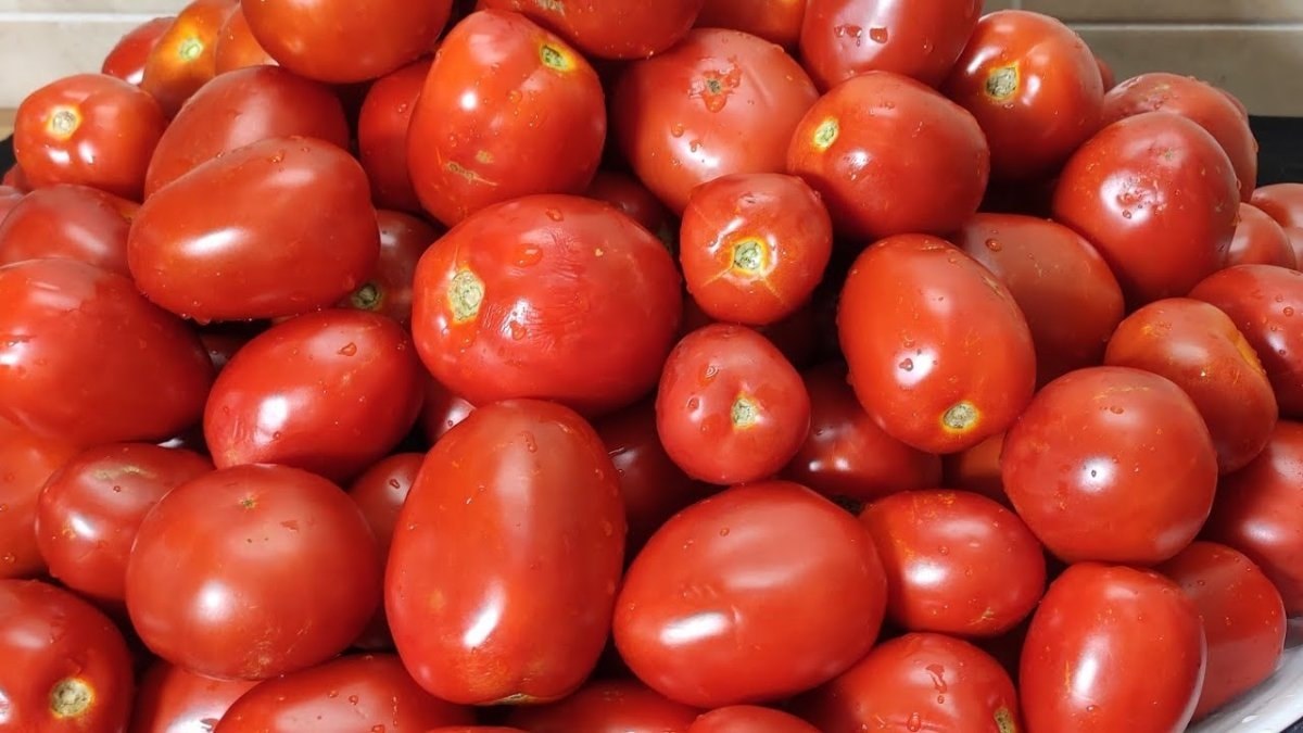 Konserve sos veya menemen yapmak için aldığınız domatesler ekşi çıktıysa