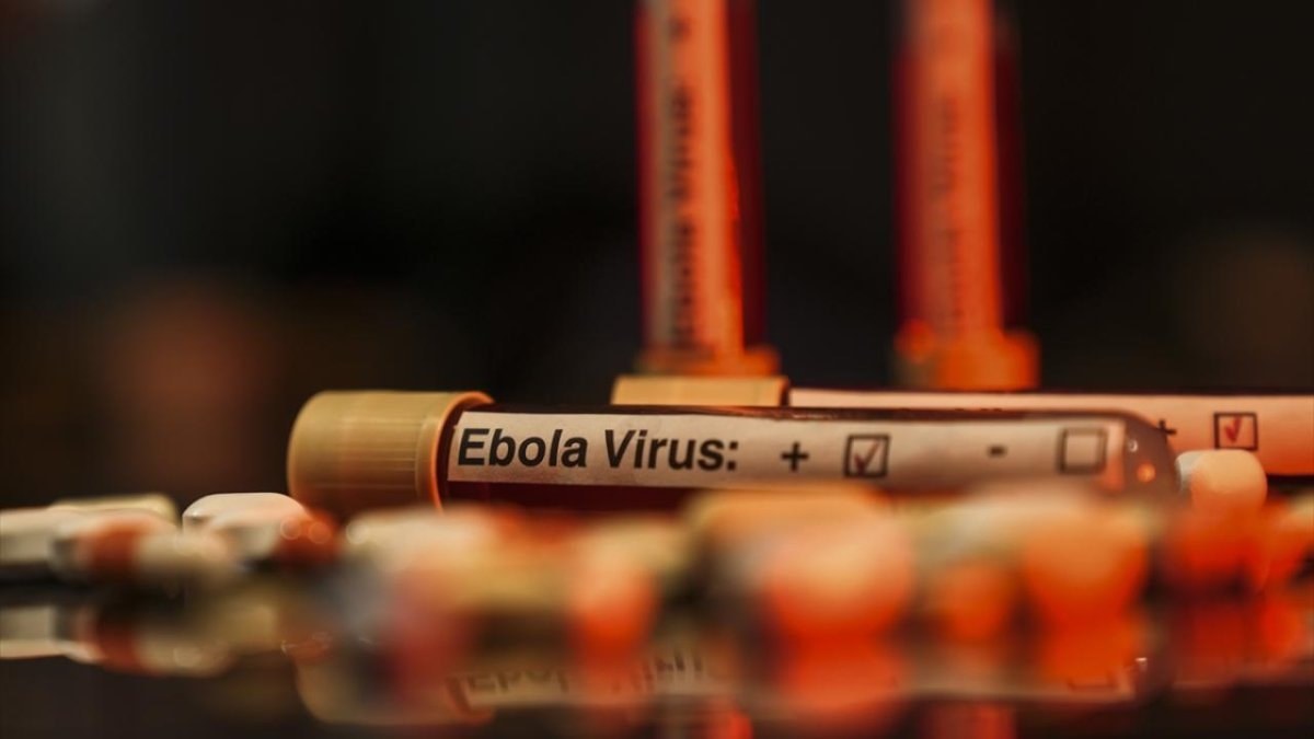 The Guardian'ın haberine göre Kongo Demokratik Cumhuriyeti'ndeki büyük Ebola salgınında