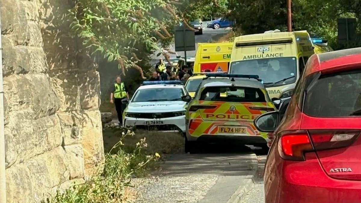 The Sun'ın haberine göre West Yorkshire'da bir köpeğin boğaz ve