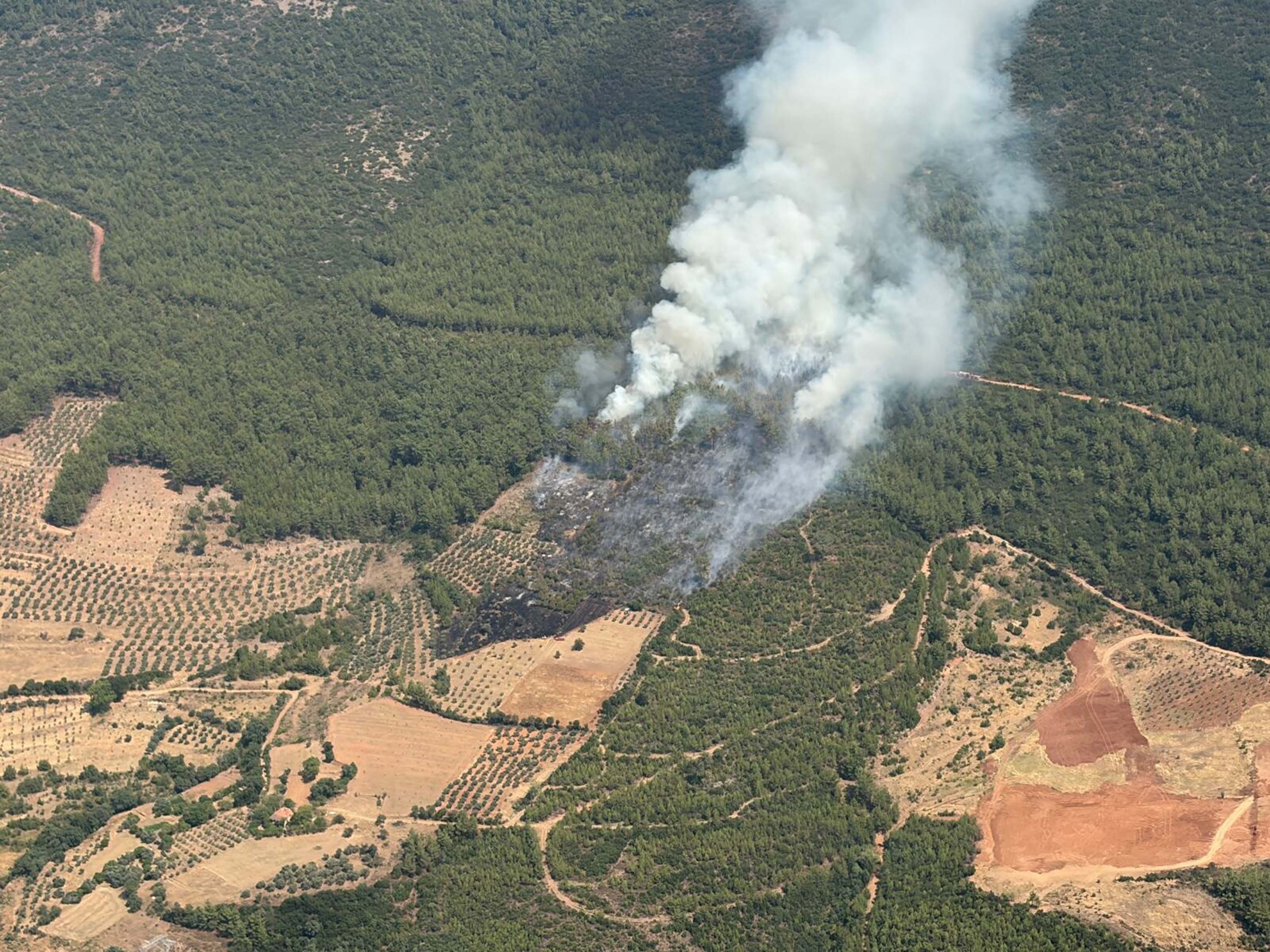 Muğla'nın Yatağan ilçesinde çıkan orman yangınına havadan ve karadan müdahale