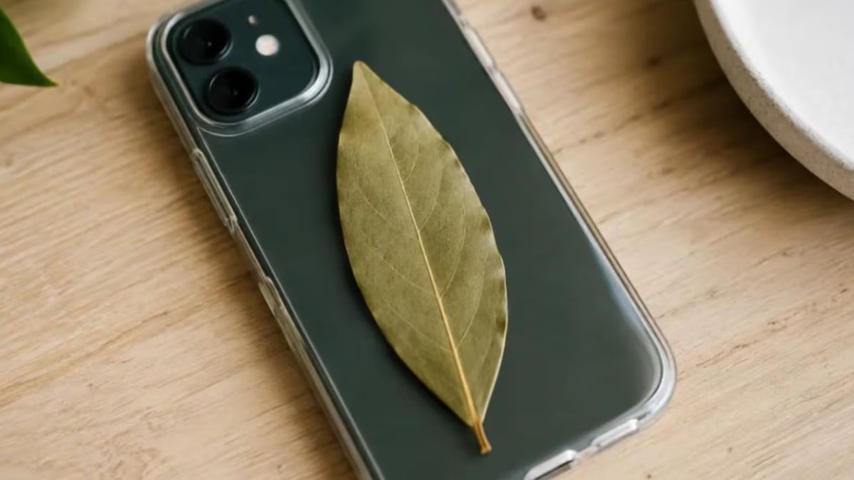 Sosyal medyada yeni bir akım başladı! Binlerce kişi telefon kılıflarının