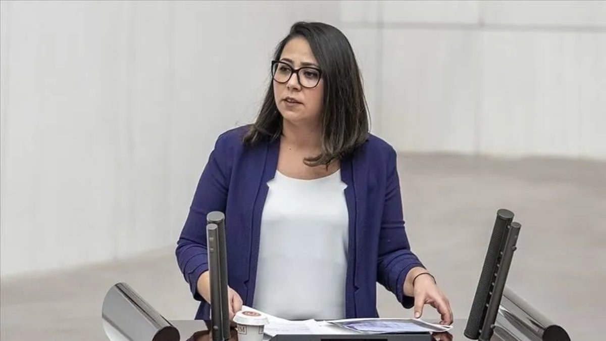 Ankara Cumhuriyet Başsavcılığı, TİP İstanbul Milletvekili Saliha Sera Kadıgil hakkında