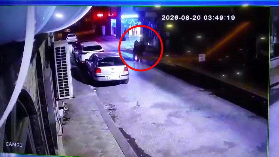 Üç kardeşin Kocaeli Darıca sahilindeki ölümünün ardından bazı sorular yanıtsız