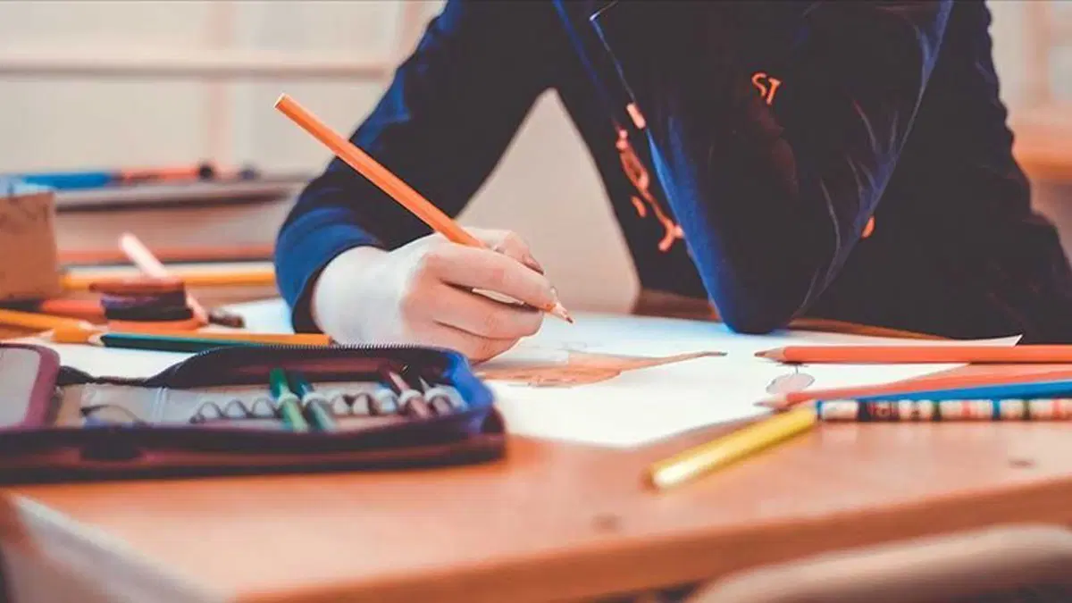Türkiye'deki yabancı okullarda öğrenim gören öğrencilerden, Milli Eğitim Bakanlığı'na (MEB)