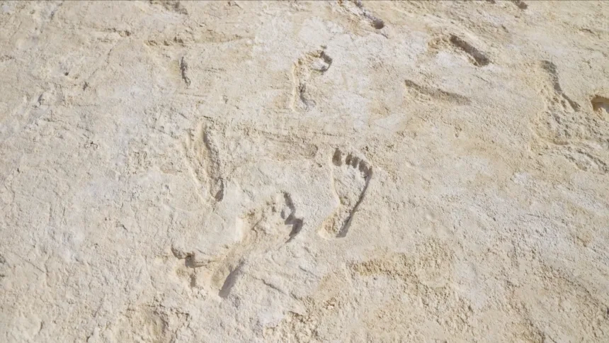 ABD'deki White Sands Ulusal Parkı'nda bulunan 21 ila 23 bin