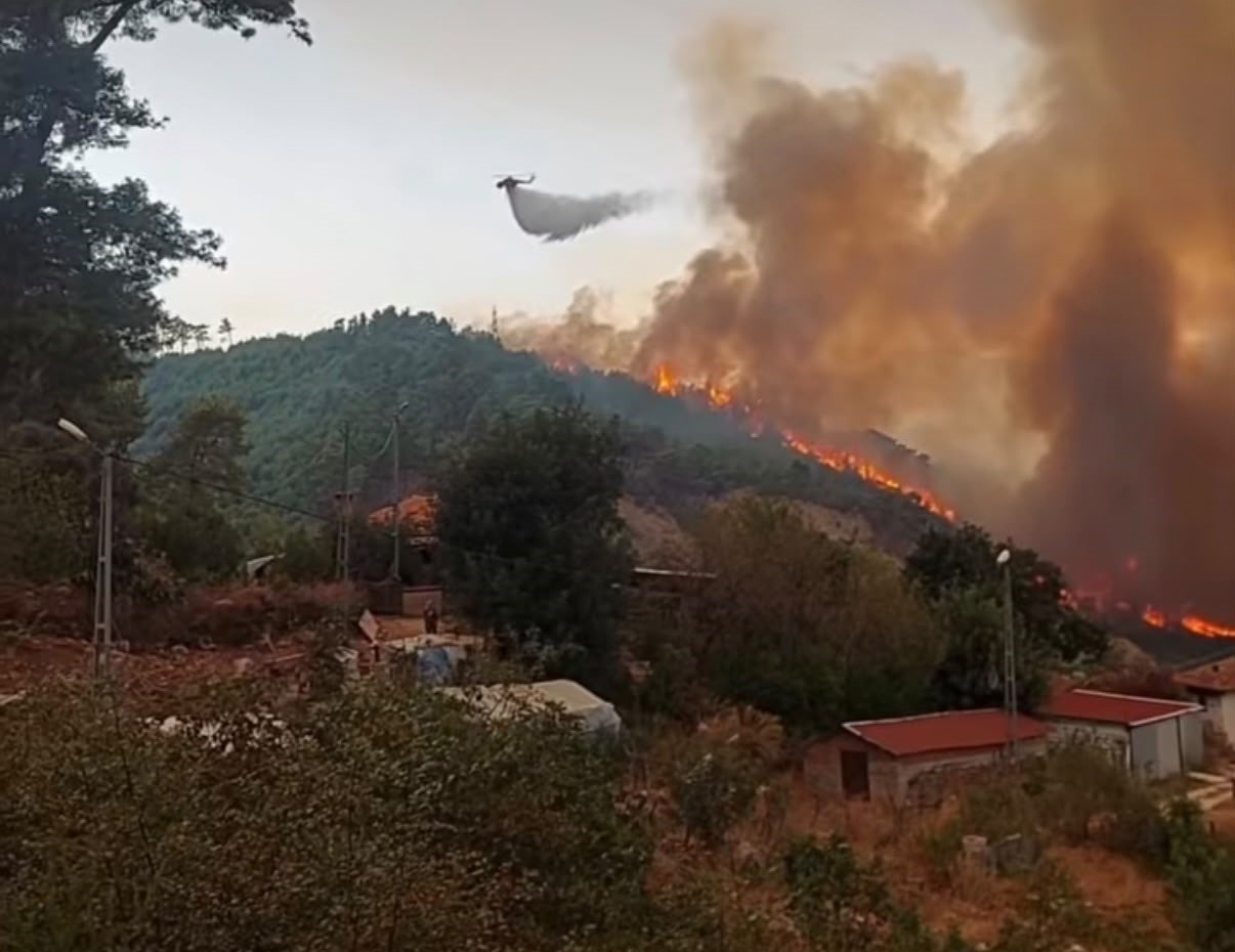 Antalya'nın Serik ilçesinde orman yangını çıktı. Rüzgarın etkisiyle büyüyen alevlere
