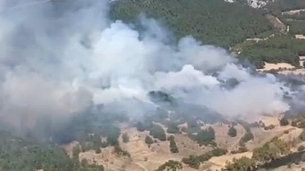 Balıkesir'in Karesi ilçesinde orman dışı alanda çıkan yangın ormanlık alanlara