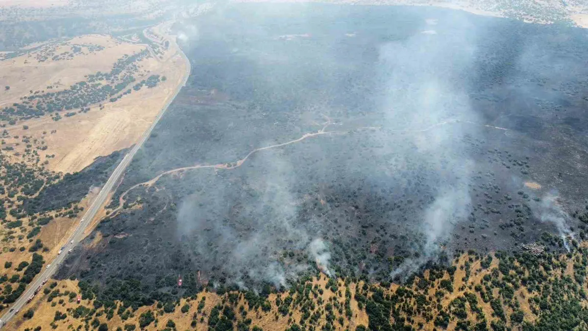 Elazığ'ın Karakoçan ilçesinde çıkan örtü yangını rüzgarın etkisiyle ormanlık alana