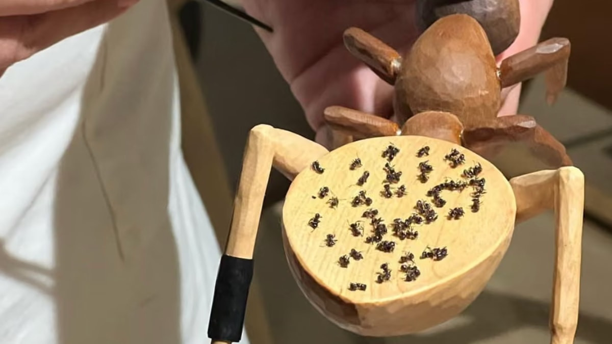 Güney Kore mahkemesi, Seul'deki Michelin yıldızlı bir restorana ve yöneticisine,