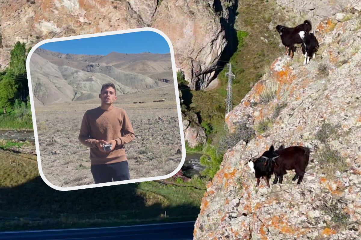 Erzurum'da sarp kayalıklardaki keçilerini drone ile yöneten İsmail Akkaş, bu