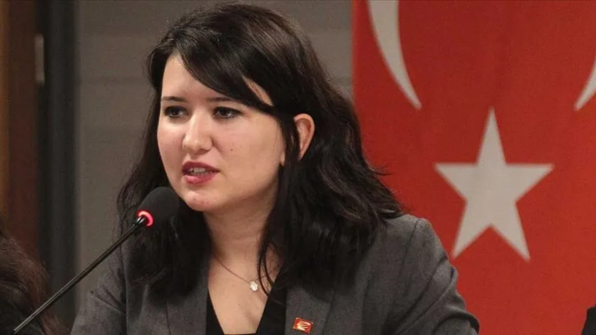 Yeni Parti İzmir milletvekili Gökçe Gökçen, 26 kişinin gözaltına alındığı