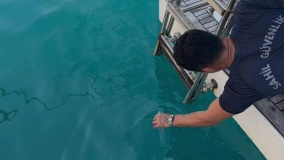Çevre, Şehircilik ve İklim Değişikliği Bakanlığı'na bağlı ekipler, Yalova Katı