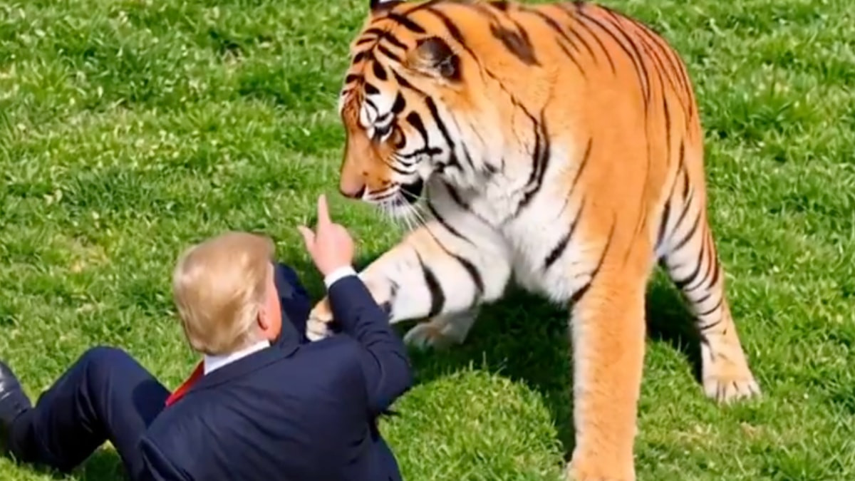 ABD Başkanı Donald Trump, İngiltere'deki Yorkshire Wildlife Park'ta kafesine girdiği